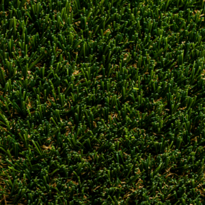 gt pet pro turf 3